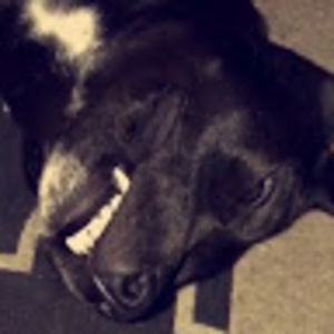 Meet your Posher, Travis